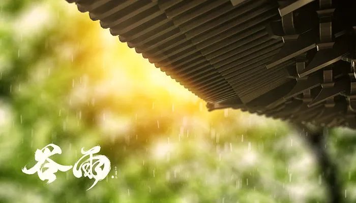 谷雨是哪天