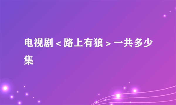电视剧<路上有狼>一共多少集