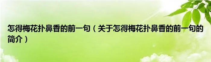 怎得梅花扑鼻香的前一句（关于怎得梅花扑鼻香的前一句的简介）