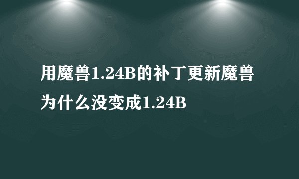 用魔兽1.24B的补丁更新魔兽为什么没变成1.24B