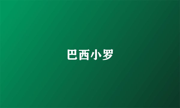 巴西小罗