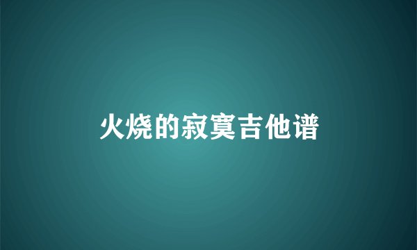 火烧的寂寞吉他谱