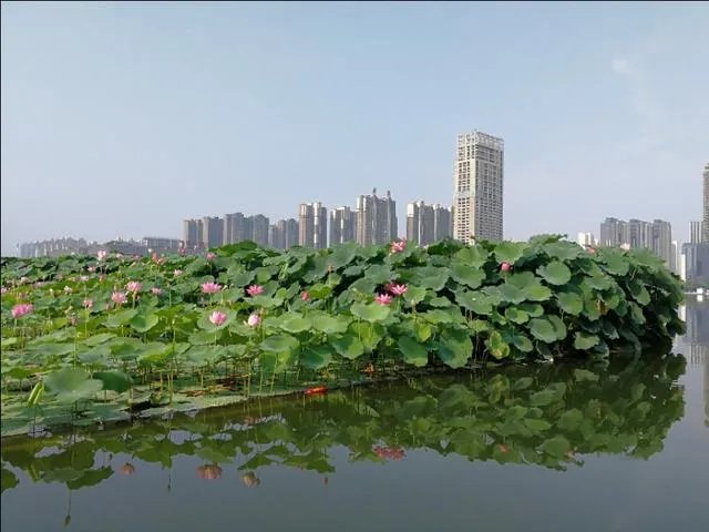 洛阳市有哪些知名小区