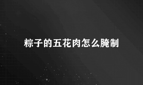 粽子的五花肉怎么腌制