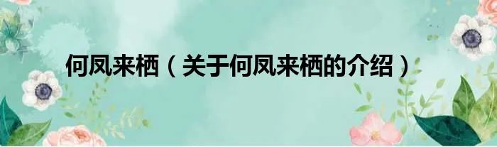 何凤来栖（关于何凤来栖的介绍）
