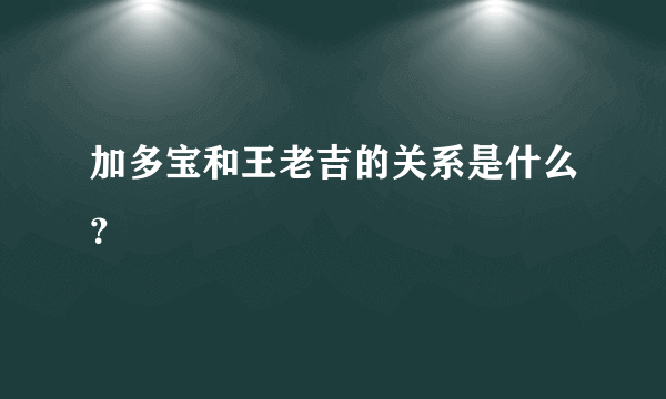 加多宝和王老吉的关系是什么？