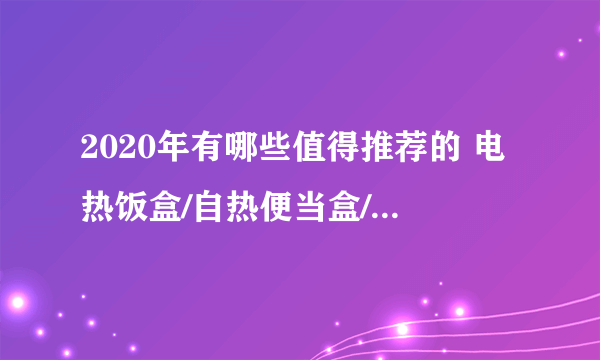 2020年有哪些值得推荐的 电热饭盒/自热便当盒/加热午餐盒？