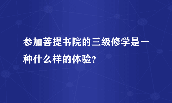 参加菩提书院的三级修学是一种什么样的体验？