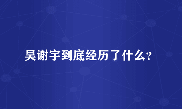 吴谢宇到底经历了什么？