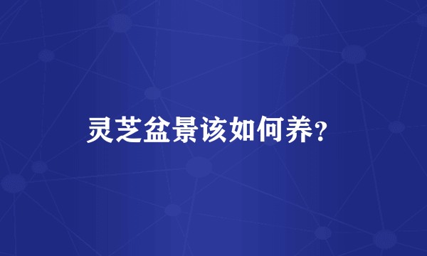 灵芝盆景该如何养？