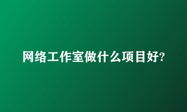 网络工作室做什么项目好?
