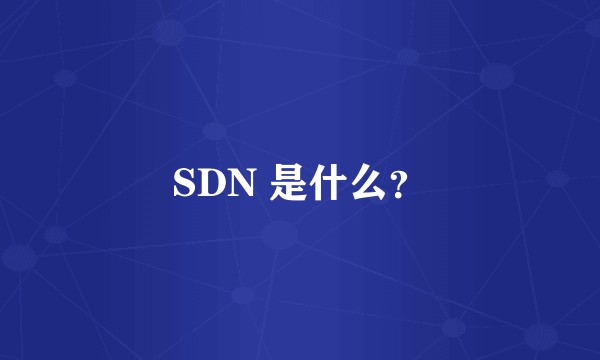 SDN 是什么？