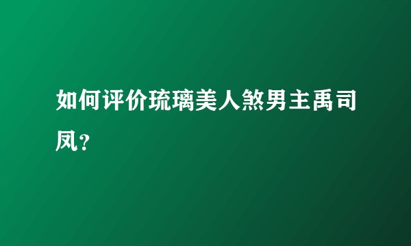 如何评价琉璃美人煞男主禹司凤？