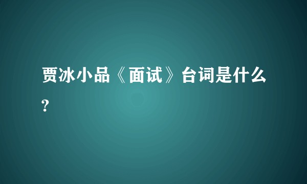 贾冰小品《面试》台词是什么?