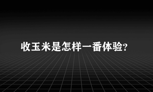 收玉米是怎样一番体验？