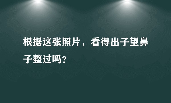 根据这张照片，看得出子望鼻子整过吗？