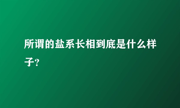 所谓的盐系长相到底是什么样子？