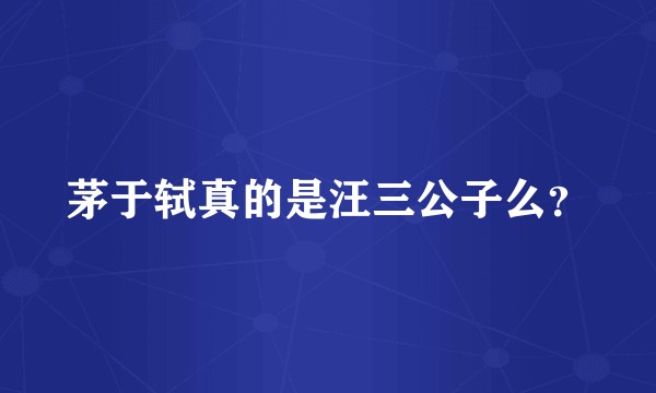 茅于轼真的是汪三公子么？