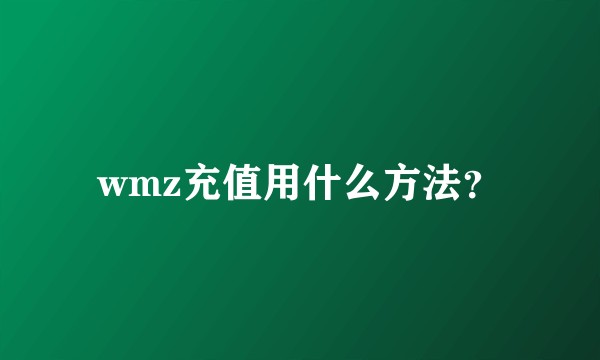 wmz充值用什么方法？