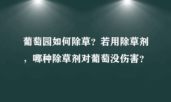 葡萄园如何除草？若用除草剂，哪种除草剂对葡萄没伤害？