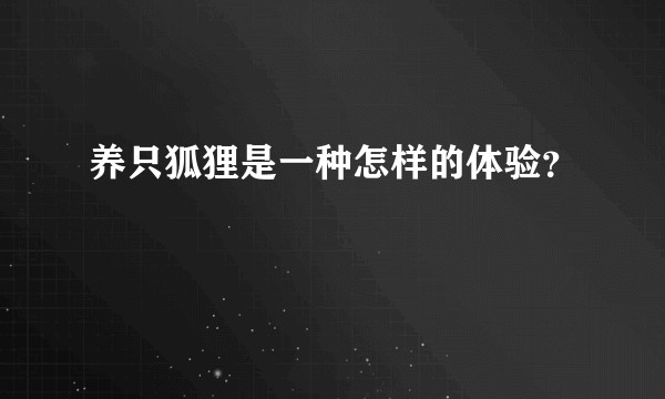 养只狐狸是一种怎样的体验？