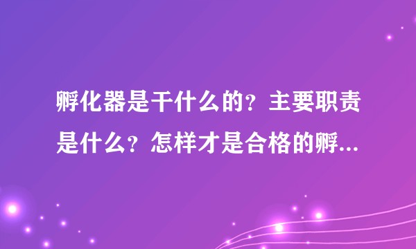 孵化器是干什么的？主要职责是什么？怎样才是合格的孵化器？国内现状如何？
