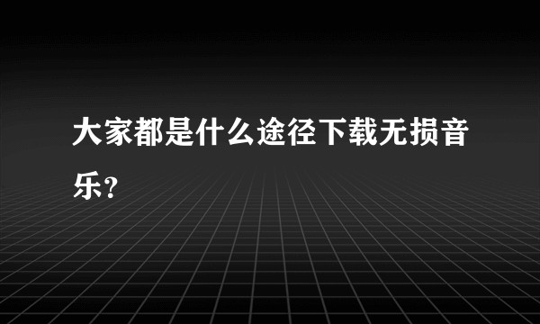 大家都是什么途径下载无损音乐？