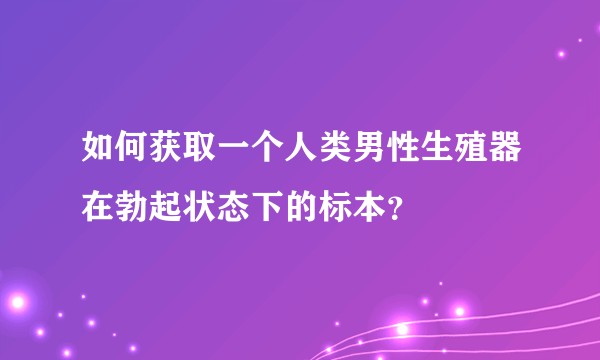 如何获取一个人类男性生殖器在勃起状态下的标本？