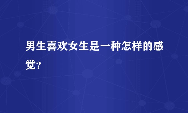男生喜欢女生是一种怎样的感觉?