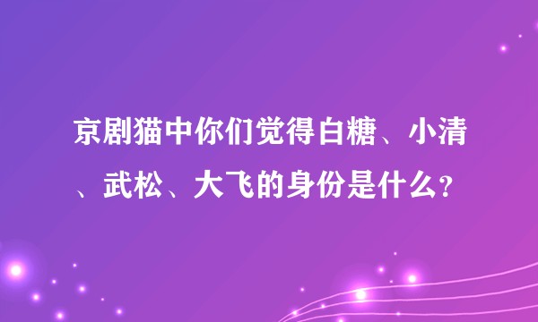京剧猫中你们觉得白糖、小清、武松、大飞的身份是什么?