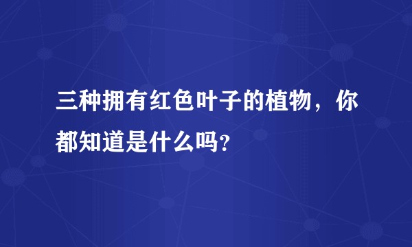 三种拥有红色叶子的植物，你都知道是什么吗？