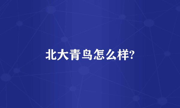 北大青鸟怎么样?