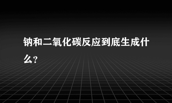 钠和二氧化碳反应到底生成什么?