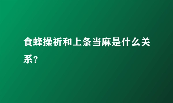 食蜂操祈和上条当麻是什么关系？