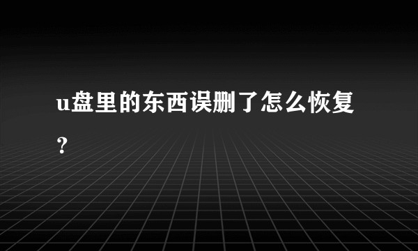 u盘里的东西误删了怎么恢复？