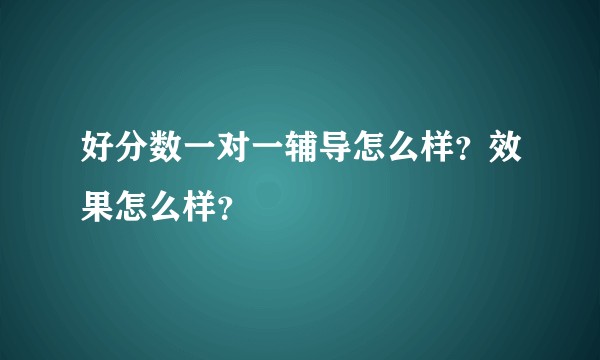 好分数一对一辅导怎么样？效果怎么样？