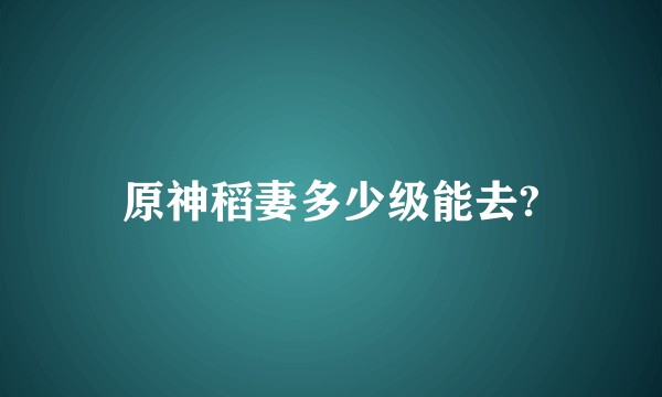 原神稻妻多少级能去?