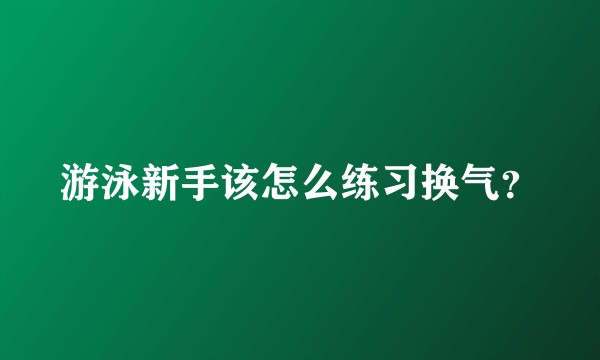 游泳新手该怎么练习换气？