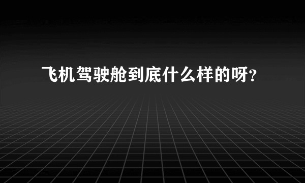 飞机驾驶舱到底什么样的呀？