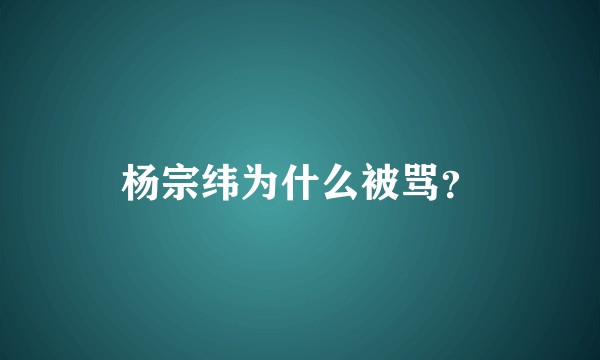 杨宗纬为什么被骂？