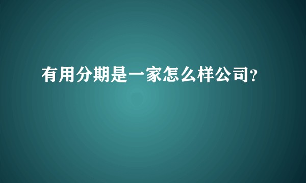 有用分期是一家怎么样公司？
