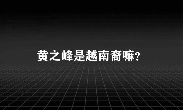 黄之峰是越南裔嘛？
