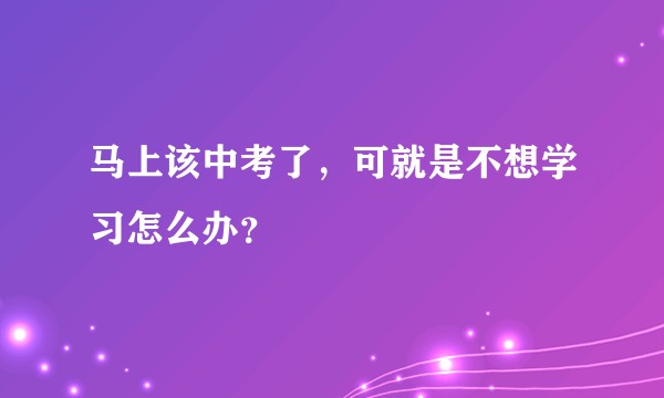 马上该中考了，可就是不想学习怎么办？