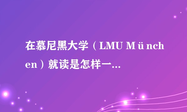 在慕尼黑大学（LMU München）就读是怎样一番体验？