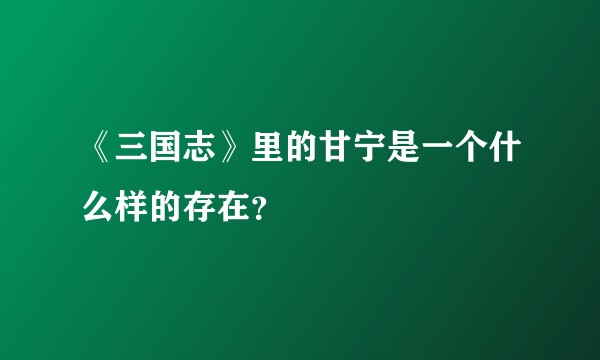 《三国志》里的甘宁是一个什么样的存在？