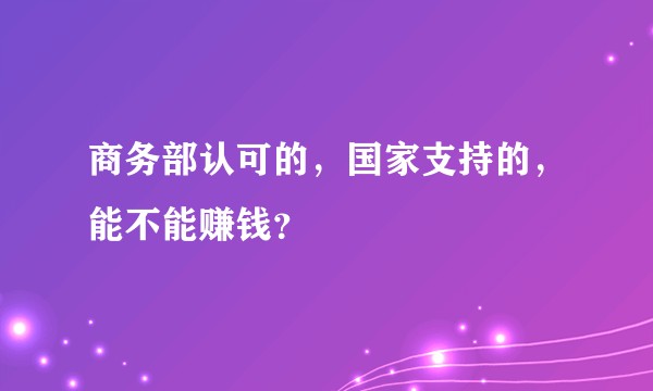 商务部认可的，国家支持的，能不能赚钱？