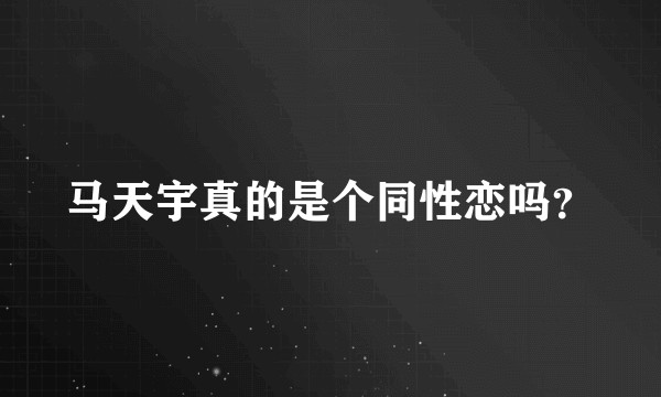 马天宇真的是个同性恋吗?