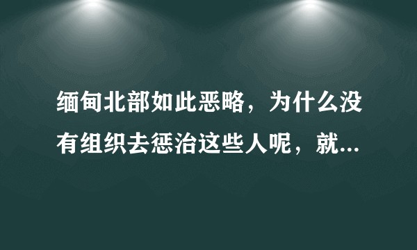 缅甸北部如此恶略，为什么没有组织去惩治这些人呢，就真的得不到治理吗？