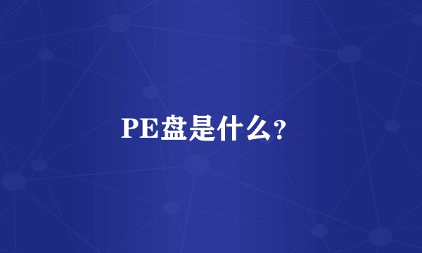 PE盘是什么？