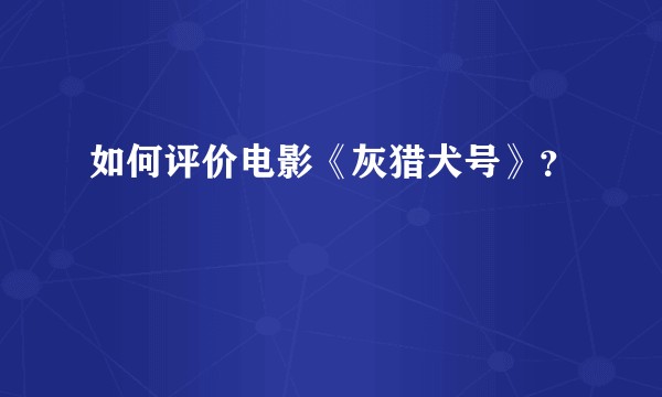如何评价电影《灰猎犬号》？